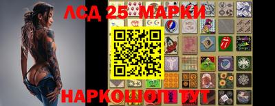 ПСИЛОЦИБИНОВЫЕ ГРИБЫ Ирбит